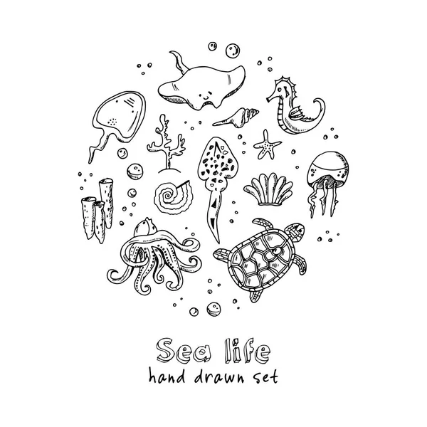 Handgezeichnetes Doodle Sea Life Set. — Stockvektor