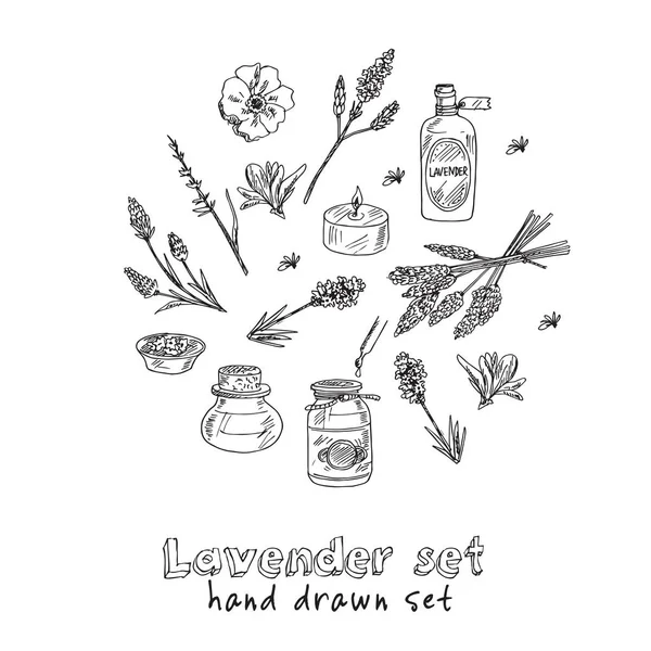 Set di scarabocchi disegnati a mano in lavanda. Illustrazione vettoriale. Elementi isolati su sfondo bianco. Collezione di simboli . — Vettoriale Stock