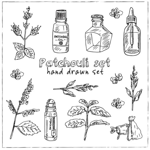 Patchouli set disegnato a mano illustrazione vettoriale — Vettoriale Stock