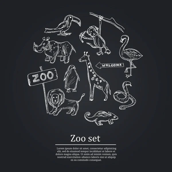 Zoo hand drawn doodle set. Vector illustration. Isolated elements on white background. Symbol collection. — Stock Vector