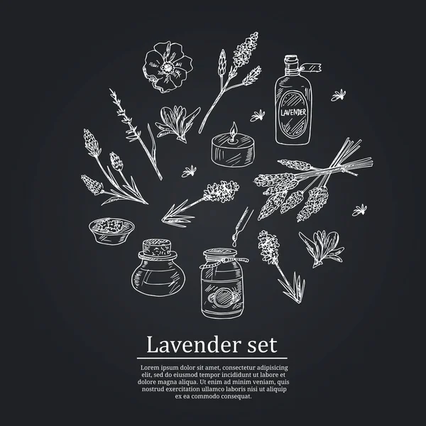 Set di scarabocchi disegnati a mano in lavanda. Elementi isolati su sfondo bianco. Collezione di simboli . — Vettoriale Stock