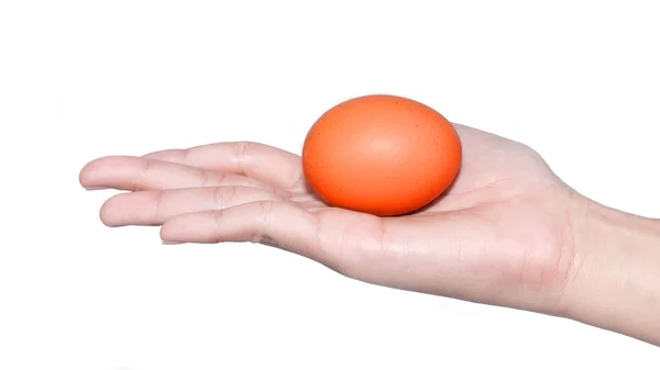 Hand hält Ei Ostertag — Stockfoto