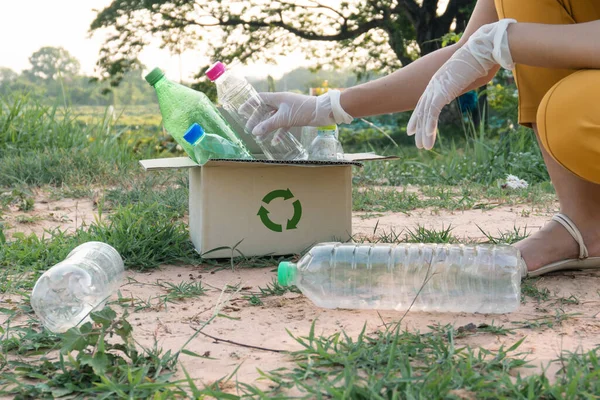 woman picking up garbage plastic bottles into a box for recycling concept