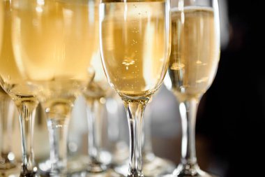 şarap, şampanya ile gözlük