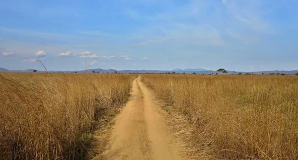 Beautiful landscape in northern Pantanal, — Stock Photo, Image