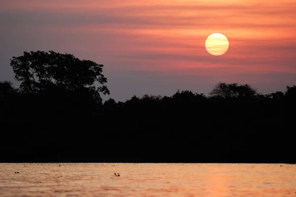 Beautiful sunset in northern Pantanal — Stock Photo, Image