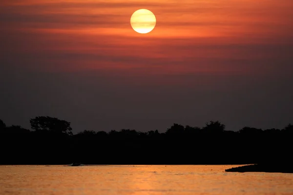 Beautiful sunset in northern Pantanal — Stock Photo, Image