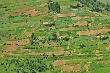 Güzel Doğa Manzarası