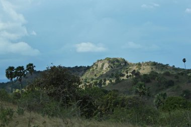 yeşil tepeler peyzaj