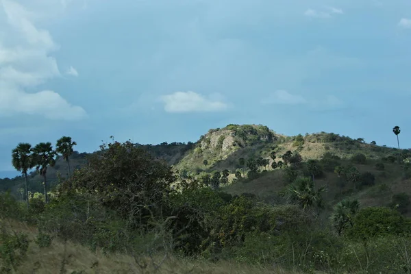 yeşil tepeler peyzaj