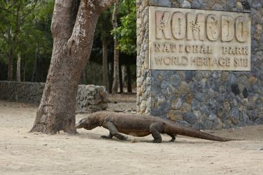 Komodo Ulusal Parkı işaret altında izlemek