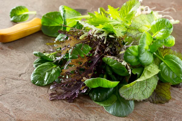 Frischer grüner Salat (Spinat, Rucola, Mangold) — Stockfoto