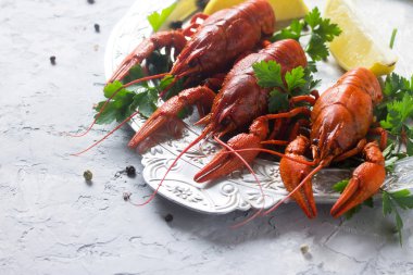 Haşlanmış kerevit, limon ve sel bir beton zemin üzerine maydanoz