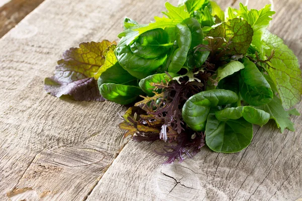 Salat auf Holztisch mischen, Raum kopieren. — Stockfoto