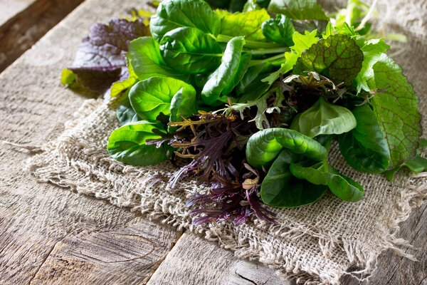 Fresh lettuce, spinach and arugula on the old wooden table, with