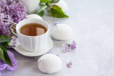 Beyaz bir hassas plaka üzerinde hassas vanilya krema. Hala li