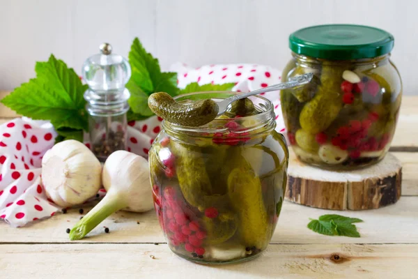 Marinated cucumbers gherkins. Marinated pickled cucumbers with r — Stock Photo, Image