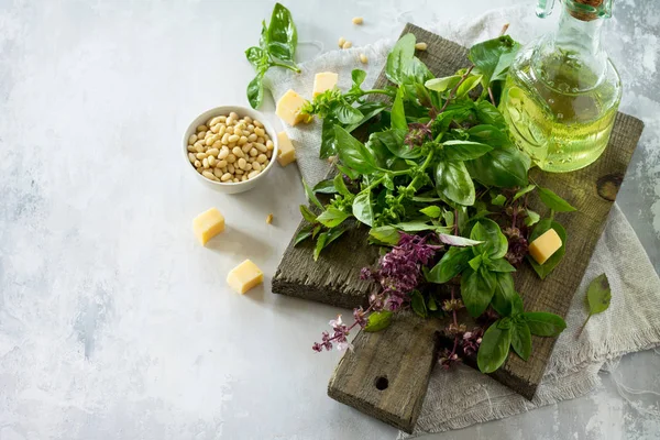 Ingredientes para cozinhar molho pesto verde - manjericão fresco, queijo , — Fotografia de Stock