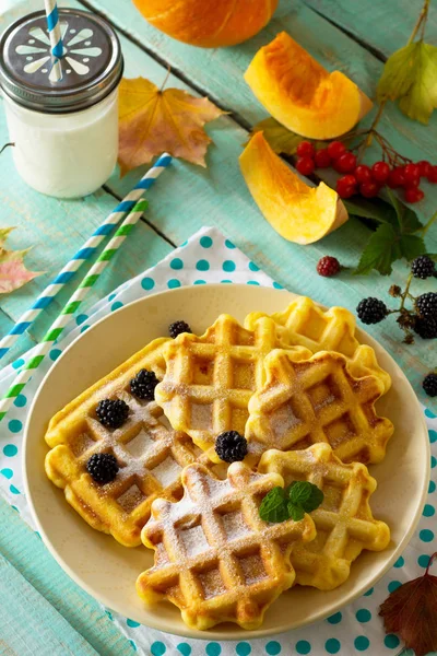 Breakfast table with pumpkin waffles, milk and fresh blackberry — Stock Photo, Image