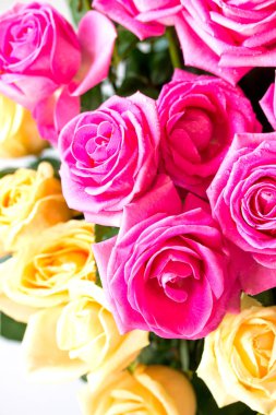 Concept Wedding ya da Sevgililer Günü, Anneler Günü kartı. Çok güzel.