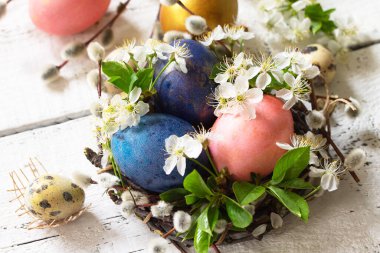 Colored Easter eggs, willow branches and spring flowers on a whi