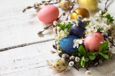 Colored Easter eggs, willow branches and spring flowers on a whi