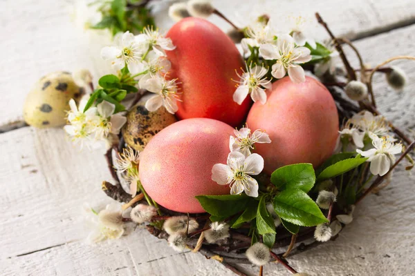 Oeufs de Pâques colorés gros plan, branches de saule et fleurs de printemps — Photo