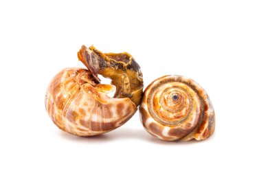 Beyaz arka plan üzerinde izole ızgara benekli babylon