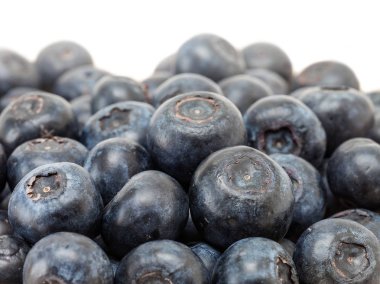 beyaz arkaplanda yaban mersini meyvesi