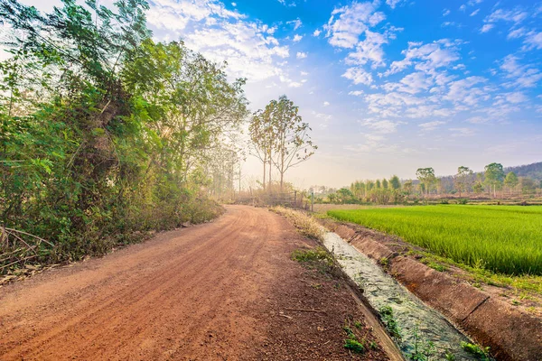 Countryside landscape with rural road and green rice field in cloudy blue sky sunrise — Stock Photo, Image