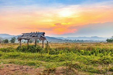 kulübe ile kırsal tarım kuru alan güzel günbatımı hasat sezonu Tayland