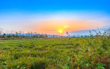 güzel gün batımı tarım kuru alan peyzaj hasat sezonu Tayland