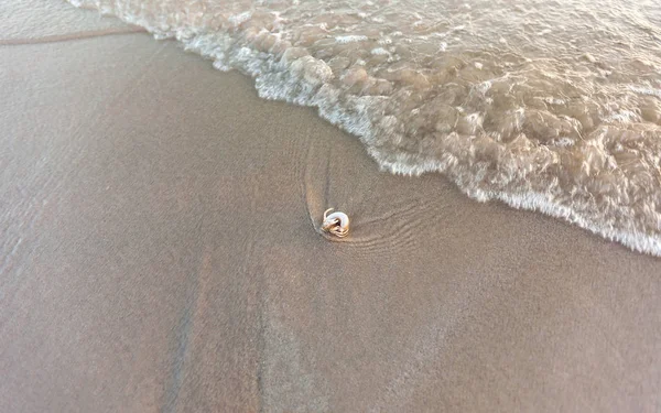 Cangrejo ermitaño en la playa de arena a la luz del sol —  Fotos de Stock