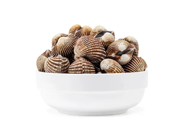 Cardiidae shellfish in white bowl isolated on white background — Stock Photo, Image