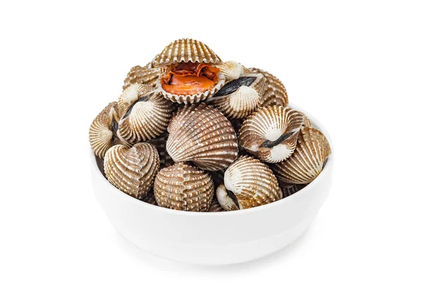 Cardiidae shellfish in white bowl isolated on white background — Stock Photo, Image