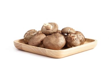 shiitake mantar beyaz arka plan üzerinde izole ahşap plaka üzerinde