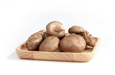 shiitake mantar beyaz arka plan üzerinde izole ahşap plaka üzerinde