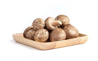 shiitake mantar beyaz arka plan üzerinde izole ahşap plaka üzerinde