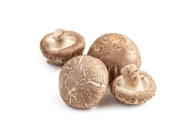 Shiitake mantarı beyaz arkaplanda izole edilmiş.