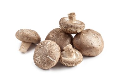 Shiitake mantarı beyaz arkaplanda izole edilmiş.