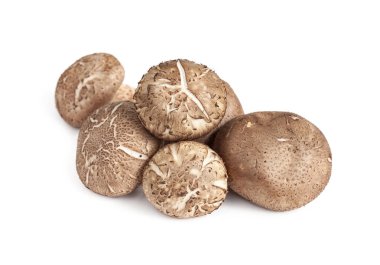 Shiitake mantarı beyaz arkaplanda izole edilmiş.