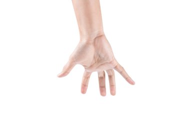 Beyaz arkaplanda el izole