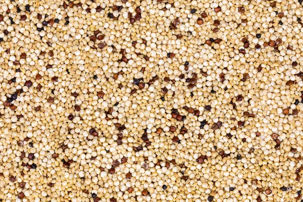 Semillas de quinua (Chenopodium quinoa) Textura súper alimentaria ecológica — Foto de Stock