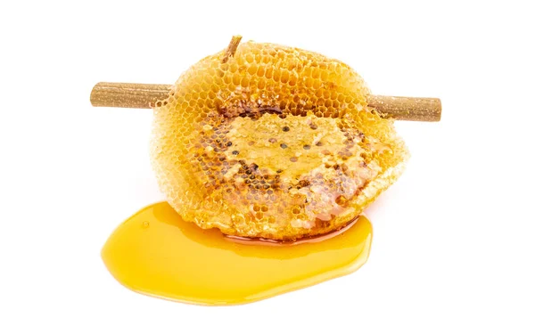 Honeycomb on dry branch isolated on white background — Stock Photo, Image