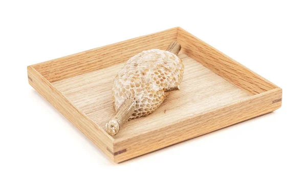 Favo de mel em placa de madeira para ingredientes alimentares isolados em branco — Fotografia de Stock