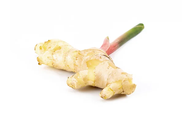 Fresh ginger root with stem isolated on white background — Stock Photo, Image