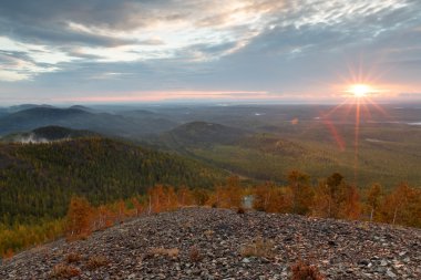 sonbahar orman sonbahar renkleri
