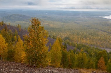 sonbahar orman sonbahar renkleri