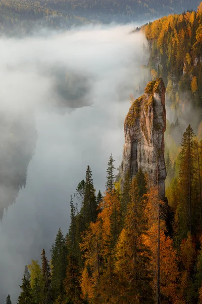 USVA Nehri devils parmak