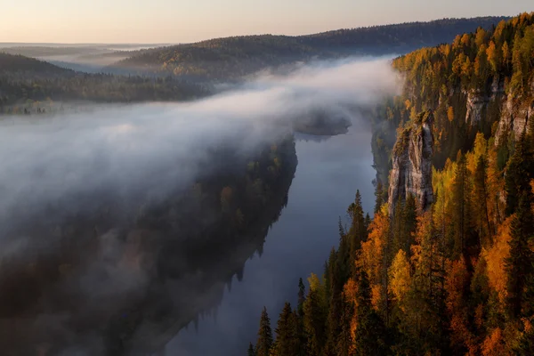 USVA Nehri devils parmak